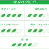 べにふうきBOPティーバッグ（レターパックＡ対象） - 画像 (4)